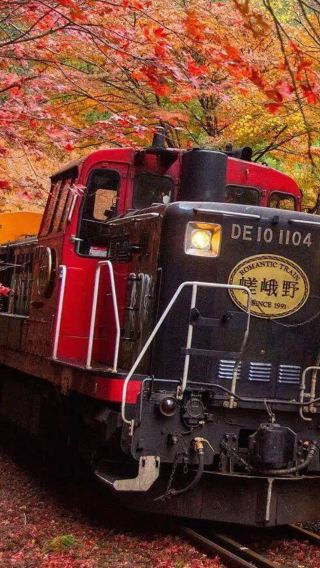 6天5晚 • 日本關西｜京都古都＋奈良小鹿＋大阪環球影城＋清水寺＋祇園漫步＋嵐山小火車＋道頓堀