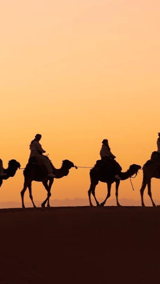 3D2N • Marrakech to Fes: 3-Day Sahara Tour, Camel Ride & Camp
