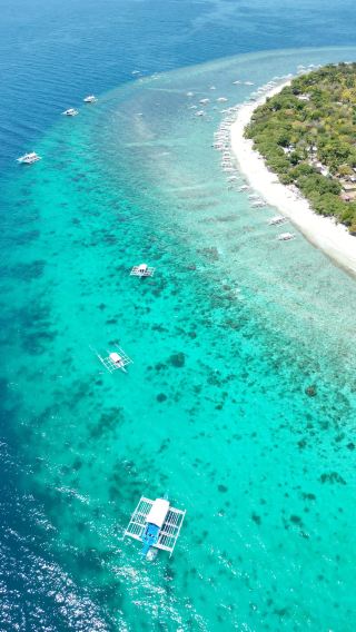 4D3N • Cebu Sardine Run Snorkeling + Kawasan Falls Canyoneering + Whale Shark Swimming + Sumilon Island Snorkeling (Accommodation Not Included)