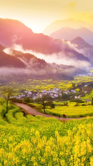 8D7N • Nanchang + Lushan City + Jingdezhen + Wuyuan + Sanqingshan Mount Scenic Area + Vagoo Scenic Area