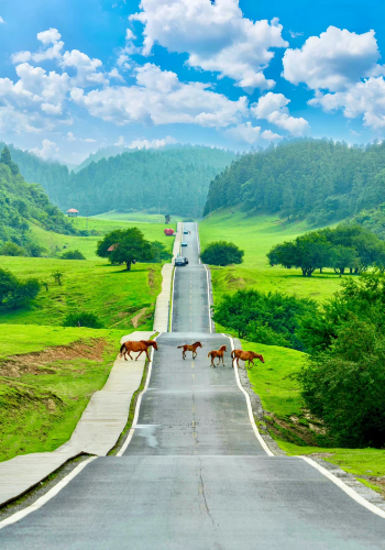 2D1N • Chongqing highlights tour: visiting Tiansheng Three Bridges, Longshuixia Gorge, and Fairy Mountain National Forest Park - one-stop culture & nature