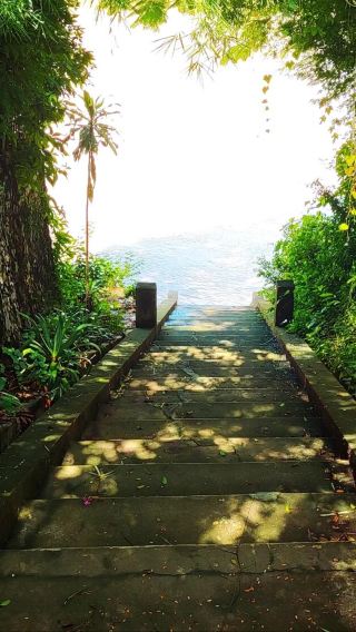 3D2N • Light Luxury Luang Prabang | Zen alms giving, private riverside afternoon tea, in-depth exploration of secret waterfalls, small group of up to 9 people with 0 shopping, experience the slow-paced life of Laos up close