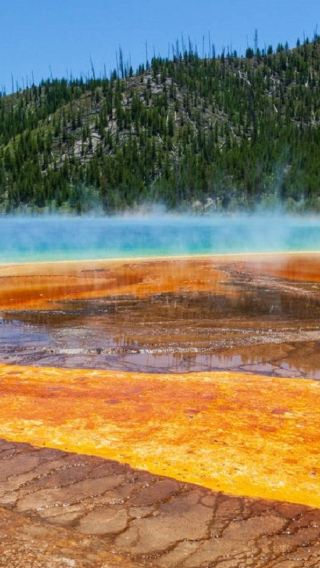 3D2N • Yellowstone & Grand Teton National Parks Adventure from Salt Lake City