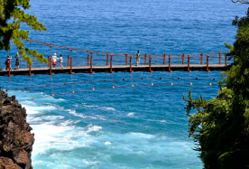 10D9N · Group Tours · Japan Osaka, Kyoto, Tokyo, Mt. Fuji & Izu Pure Small Group Tour with Shinkansen · Pure Small Group Semi-Free Tour | Osaka In & Tokyo Out | Free JR Shinkansen | Kiyomizu-dera & Nara & Oshino Hakkai & Kawaguchiko & Kamakura | 1-Day Free Time in Osaka