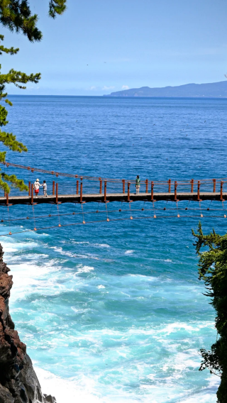 10D9N • Japan Osaka, Kyoto, Tokyo, Mt. Fuji & Izu Pure Small Group Tour with Shinkansen