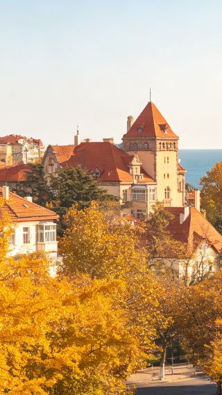 5D4N • Qingdao + Laoshan Mountain + Badaguan + Guangxingli + Former Governor's Residence: Private tour upgrade for 4 with complimentary tea tasting & seagull feeding