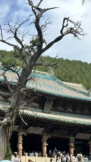 5天4晚 • 『三晉尋春』文創禮遇 · 20人VIP團 · 12人升級「2+1」宿JW萬豪+5鑽飯店 ·  享特色餐