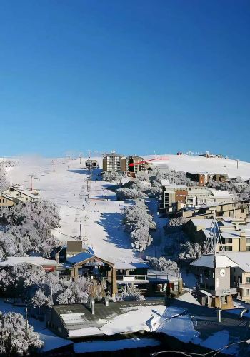 2D1N • Mt Buller