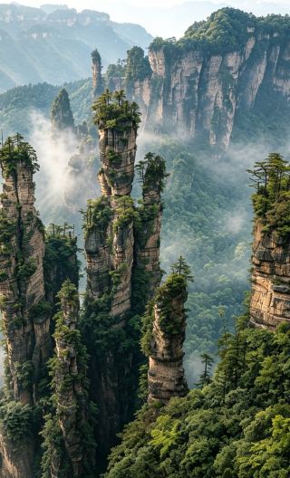 11D10N • Pandas, Karst canyons, ancient water towns & Avatar mountains - 3 provinces, 4 destinations, one seamless journey