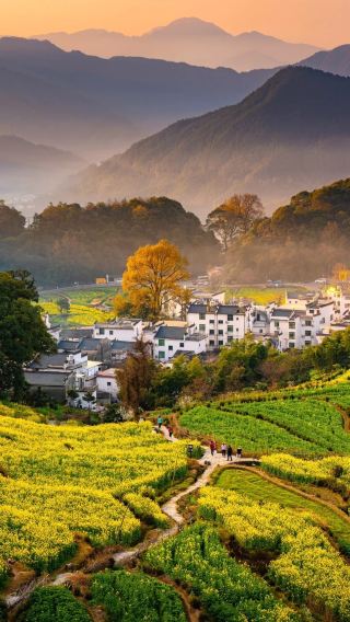 7D6N • Nanchang + Wangxian Valley + Sanqingshan Mount Scenic Area + Wuyuan Huangling Scenic Area + Jingdezhen + Lushan National Park