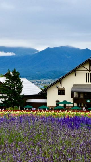 8D7N • Japan Eastern Hokkaido: Sapporo + Kushiro + Kussharo