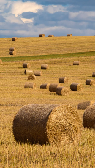 5D4N • 5D4N · Group Tours · Hohhot + Huitengxile Grassland + Ulanqab