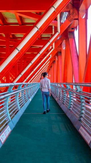 6D5N • Boutique tour English guide, Zhangjiajie boutique tour avatar mountains + Glass Bridge Fenghuang + Furong Town + Aizhai Bridge:English Guide & Miao Costume drone photos + waterfall town Furong