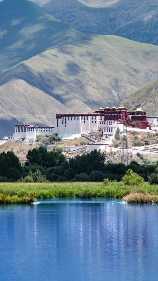 10D9N • 10-day group tour: Lhasa + Chengdu + Bomi + Nyingchi + Potala Palace + Jokhang Temple + Litang + Letong Ancient Town + Cuopu Valley + Ranwu Lake + Midui Glacier + Basongcuo