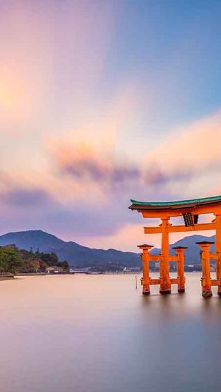 8D7N • Japanese Essences