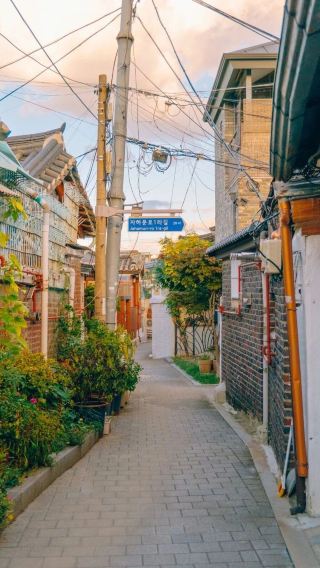 5D4N • South Korea & Seoul: Nami Island, a filming location for the Korean drama 'Winter Sonata' - An exciting Gangchon Rail Bike ride - Interactive Alpaca World 