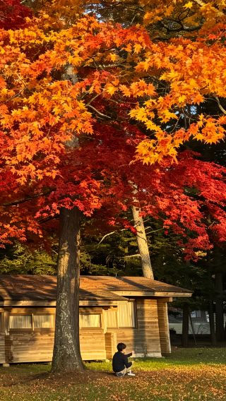 6D5N • Japan + Tokyo + Mount Fuji + Karuizawa + Tokyo Disney Resort. Fall Kanto: Karuizawa Forests, Mt. Fuji & Tokyo Disney Magic