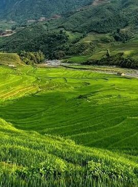 2D1N • Sapa 2 Day Motorbike Loop – Hidden Gems, Best Views & Homestay