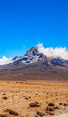5D4N • Climbing Kilimanjaro - Marangu Route