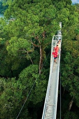 3D2N • 3-Days Arenal Volcano Baldi Resort -Monteverde - Manuel Antonio