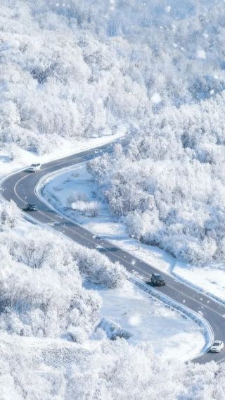 3天2晚 • 冬季預售 雪鄉 冬捕 騎駱駝 指定使用別克商務車 硬派越野深度穿越 多倫湖冬捕  雪鄉駱駝爬犁·滑雪圈 雪地營火 鄂溫克馴鹿部落