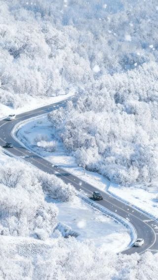 3天2晚 • 冬季預售 雪鄉 冬捕 騎駱駝 指定使用別克商務車 硬派越野深度穿越 多倫湖冬捕  雪鄉駱駝爬犁·滑雪圈 雪地營火 鄂溫克馴鹿部落