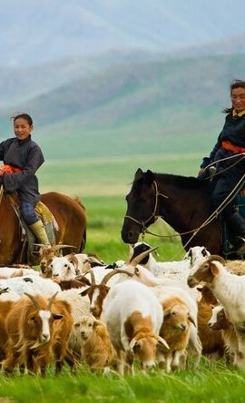 8D7N • 8 Days / 8 Lake area Central Mongolian horse trekking