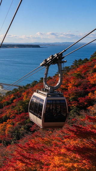 5D4N • Private car for your group only, no shared rides. Explore fall foliage away from crowds and admire Kyoto's stunning autumn scenery