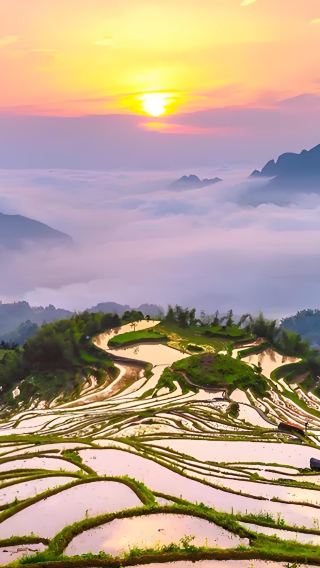 11D10N • China + Shanghai + Shaoxing + Jinhua + Jinyun + Xianju + Tiantai County + Suzhou + Wuxi
