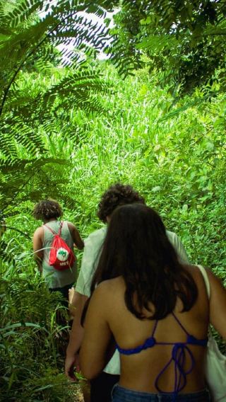 2D1N • Chiang Mai: 2-Day Hidden Jungle Trek & Local Hill-Tribe Stay