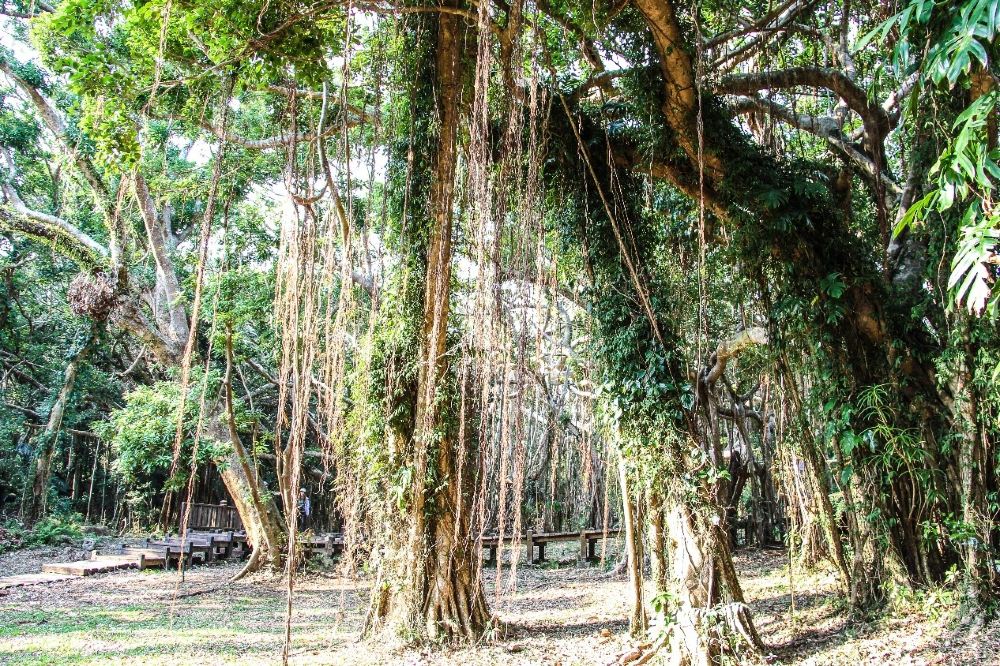 Kenting National Forest Recreation Area