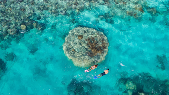 Whitsunday Islands Hardy Barrier Reef Tagesausflug [Transfer vom/vom angegebenen Hotel + Mittagessen + Schnorchelausrüstung]