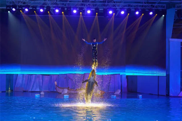 [Qingdao Free Travel] How to enjoy Qingdao travel in 4 days and 3 nights, a comprehensive itinerary planning package!