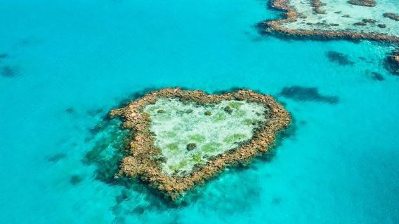 [Schnelle Bestätigung] Tagesausflug zum Hardy Reef, Great Barrier Reef und Heart Reef (Tauchen optional) auf den Whitsunday Islands.