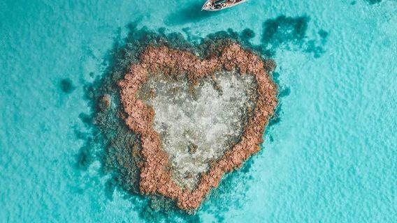 OceanRaftin Whitsunday Islands Heart Reef Rundflug Sightseeing Tagestour Süd-/Nordlinie