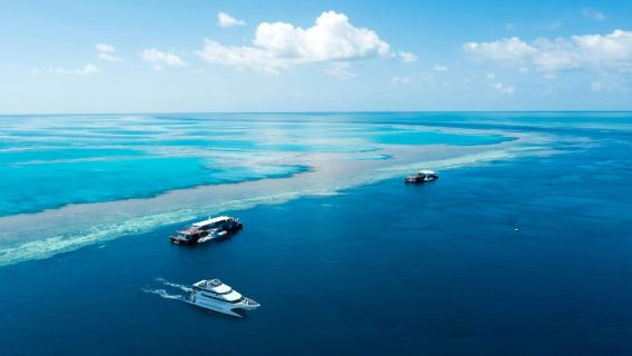 Tagesausflug zu den Hardy Riffen der Whitsunday Islands mit Abfahrt von Airlie Beach oder Hamilton inklusive optionalem Helikopterflug