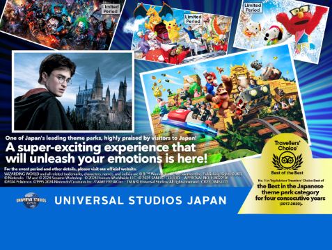 ユニバーサルスタジオジャパン USJ 青 チケット 2枚 2024/12/26まで
