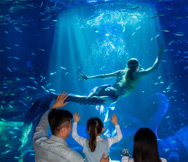 [Qingdao Free Travel] How to enjoy Qingdao travel in 4 days and 3 nights, a comprehensive itinerary planning package!