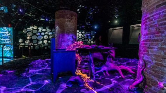 Barcelona: Casa Batlló erhalten Sie die erste Eintrittskarte