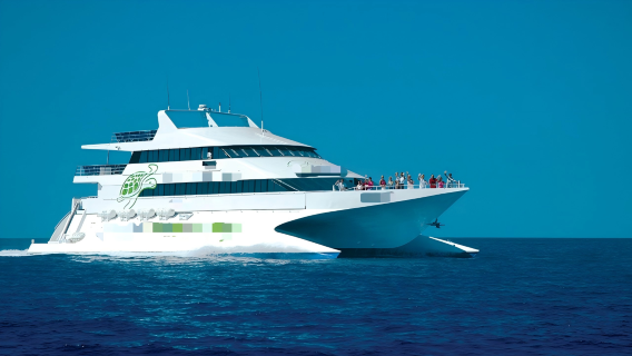 Hardy Barrier Reef Tagesausflug [CW Bootsfahrt | inklusive Mittagessen und freiem Schnorcheln | optional mit Hin- und Rückfahrt]