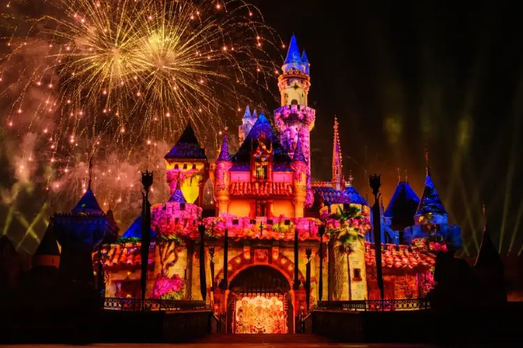 2025 お歳暮【公式】 - 人気ブランド Disneyland Resort California Tickets [2025] - Promos, Prices トップス