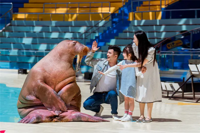 [Qingdao Free Travel] How to enjoy Qingdao travel in 4 days and 3 nights, a comprehensive itinerary planning package!