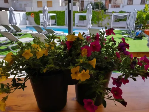 Hotel Windsor Tossa - Adults Only 16 Leisure & Recreation Photos
