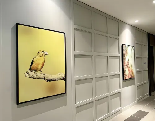 Le Vert Boutique Hotel Khu vực công cộng Photos