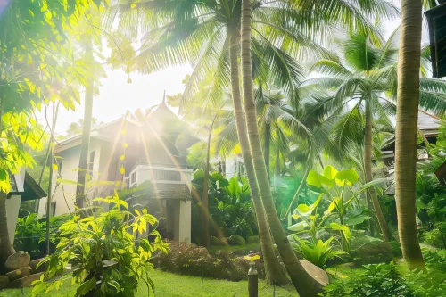 Muang Samui Spa Resort Exterior Photos