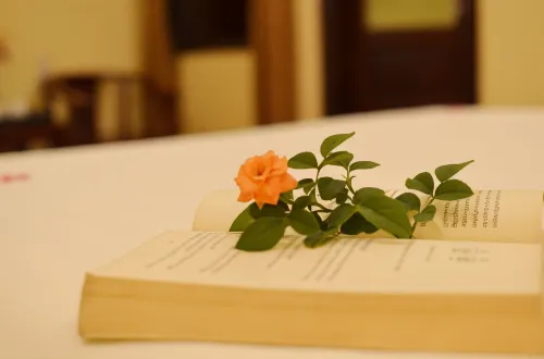 Panda Garden Homestay Photos
