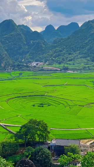 5日4晚 • 貴州貴陽 + 織金洞 + 烏蒙大草原 + 黃果樹景區 + 馬嶺河峽谷景區 + 萬峯林景區 + 花江峽谷大橋