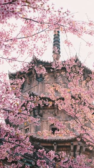 5日4晚 • 泉州＋開元寺＋霞浦＋楊家溪