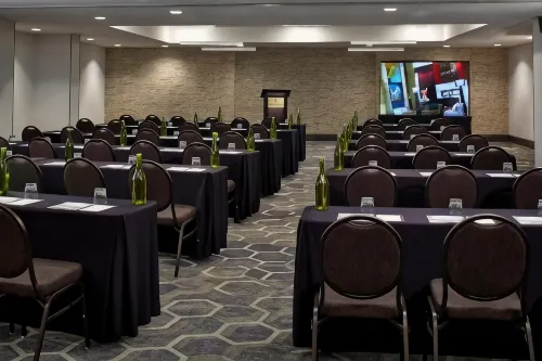 Renaissance St. Louis Airport Hotel Business Facilities Photos