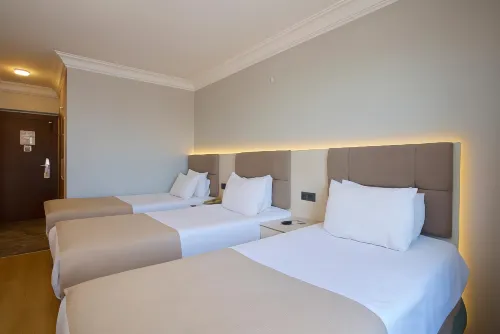 Grand Ant Hotel Rooms Photos
